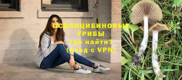 спайс Беломорск