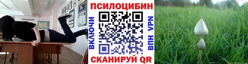 Псилоцибиновые грибы GOLDEN TEACHER наркошоп Вяземский
